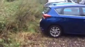 Toyota Auris vs Corolla