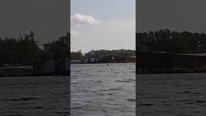 Шексна , речной порт Шексны