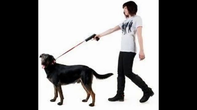 сон собака на поводке смотреть онлайн