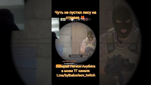 Чуть не наложил в штаны на стриме, играя в КС #twitch #bylbaborisov #csgo #кс #стрим #лиса #испуг #с