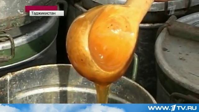 В Таджикистане отмечают праздник Дыни и меда,Таджикистан,праздники,фермеры,