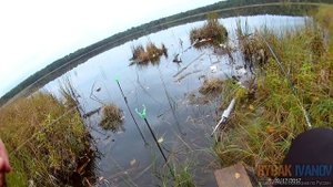 Осенняя рыбалка на карася. Ловля в сентябре на поплавочную удочку (3 выезда)