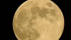 Мою Армию НЛО сняли в другом  месте  и в другое  время  другим  человеком