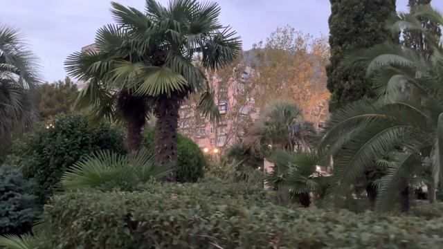 Парк отель АMZA в Гагра- Абхазия. Санаторий или Лакшери отель на берегу черного моря.