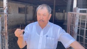 Бакитжан Мусабаев об овцеводстве Новой Зеландии