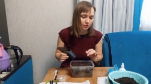 Посев лука на головку семенами за один сезон