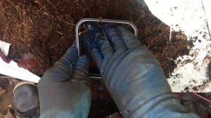 Всё о рассадке и черенковании гейхер