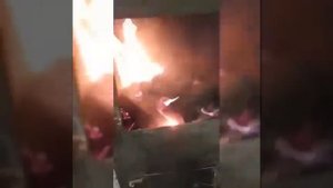 Угольные брикеты из каменного угля марки Д. Coal briquettes from coal grade D.