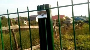 Как быстро и просто поставить своими руками  забор 3D