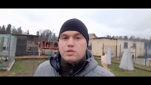 Газелькин. Негативный опыт общения с перевозчиком