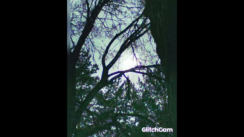 tree branches and sky graphics ☁️живая графика- ветки деревьев и небо.CITY sketches Город