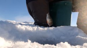 Шарташ и в феврале радует!!! Рыбалка в черте города.