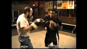 MIKE TYSON - работа на лапах