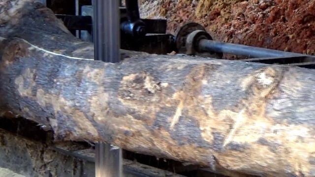 menggergaji kayu jati keras bahan pintu kupu tarung masjid banda aceh seharga 2 miliar смотреть онлайн