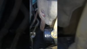 Нексия без катализатора и лямбд