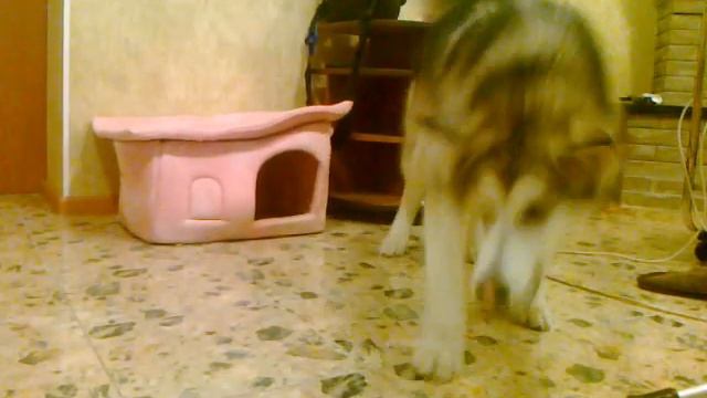 Дульсинея и наждачная бумага смотреть онлайн