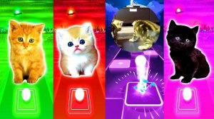 Cute Cats Coffin Dance | Tiles Hop EDM Rush