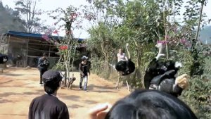 Girl Rides Ostrich Катание на страусе