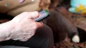 Более 30 заявлений в полицию о фактах телефонного мошенничества