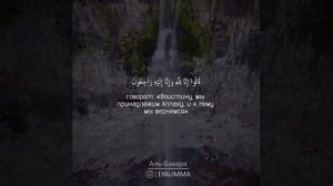 Коран -  аяты про терпение