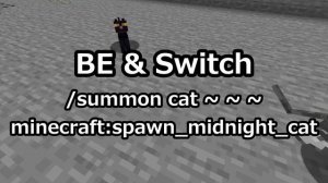 Easy 1 Line Command - How to Summon a Black Cat for Beginners [Java Bedrock Switch] Minecraft