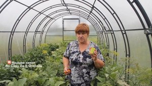 Не Пропустите Эти Признаки! Это Паутинный Клещ! Средства Борьбы.