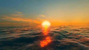 Роббиш рохли содри