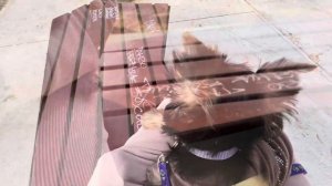 Влог/Гуляем с йорком Гешей