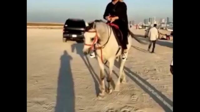 Прогулка на арабской лошади в Бахрейне