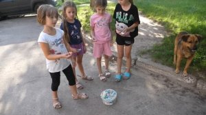 VLOG Собака помогла выиграть