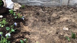 Красивый цветник с нуля ? альпийская горка в цветнике своими руками??♀️