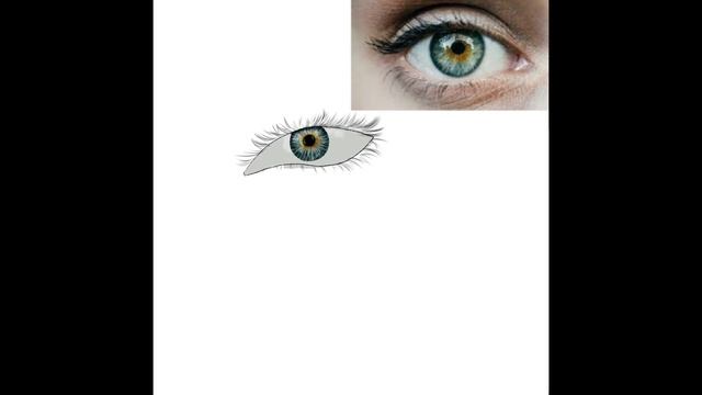 ?Eye-timelapse by Seo-Yoon?
