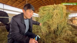 ВАЖНОЕ УДОБРЕНИЕ ДЛЯ ЛЮЦЕРНЫ! АКВАМИКС ТВ!