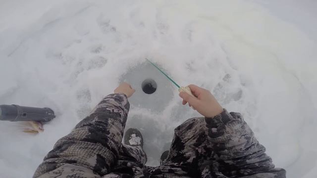 Щука на мучного червя & Pike on Tenebrio molitor смотреть онлайн