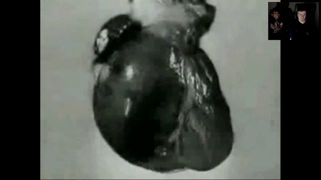 Into the Dark: Ultimate Trash Edition [part 1] (1080p 60fps) смотреть онлайн