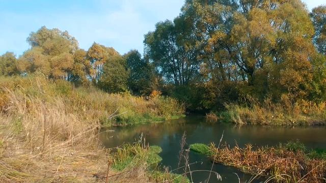 Видео для сна релаксации и расслабления. Золотая осень ветер река. В гармонии с природой АСМР