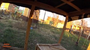 Разведение кроликов в вольере. Правда или вымысел?