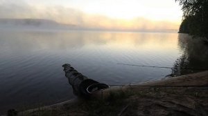 БЕЛОЯРКА. НА ФИДЕР ПТИЦ НЕ ЛОВИЛИ? ОТЧЁТ 4-5. 06.2021