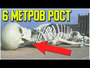 ✅ Настоящее видео скелета великана