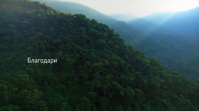 СИЛА БЛАГОДАРНОСТИ. Как и зачем благодарить? смотреть онлайн