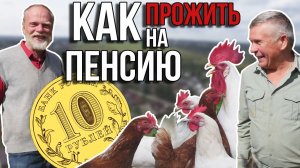 Как прожить на пенсию? 3 главных правила!