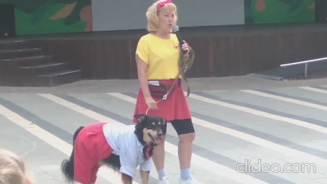Выставка собак 23.06.2024