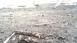 плуг для мотороллера муравей ч 3