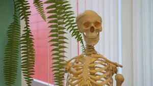 Нацпроект школа 33