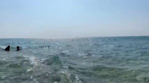 Египет 2021 Путешествие на Белый остров🏝Красное море🌊Шарм-эль-Шейх 2021 Дайвинг в Красном море