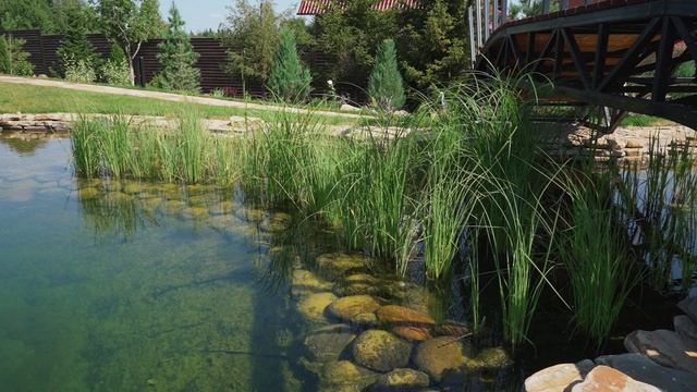 Пруд для плавания и рыбалки от Аквастройгранд