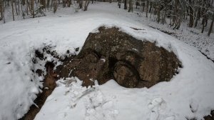 Санкт Петербург Парк Сергиевка