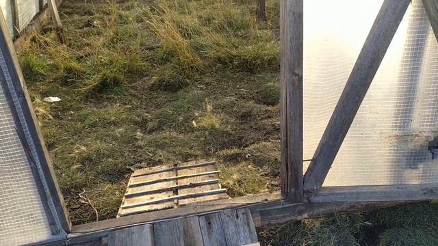Готовим огород к зиме. Пашем землю.