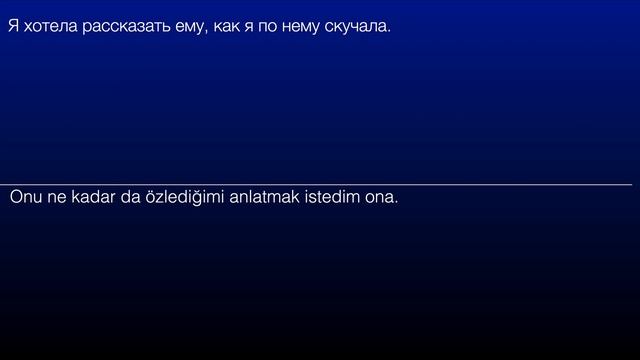 Турецкий язык. Практика построения предложений (B1).