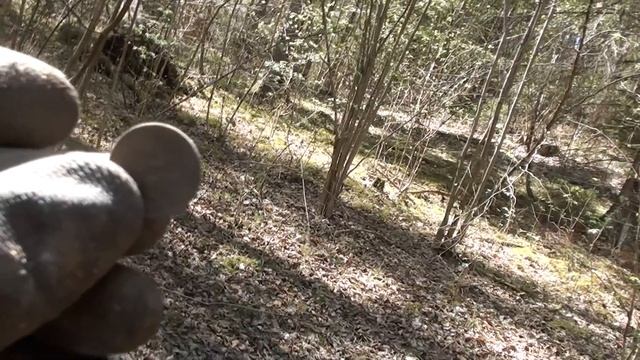 КОГО Я НАШЕЛ? ЛУНЬ? Коп в лесу и поиск монет у заброшки смотреть онлайн